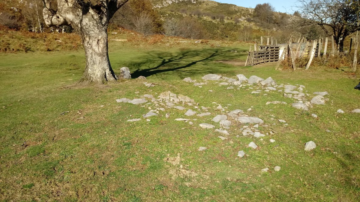 Zaingo Ordeka trikuharria 2