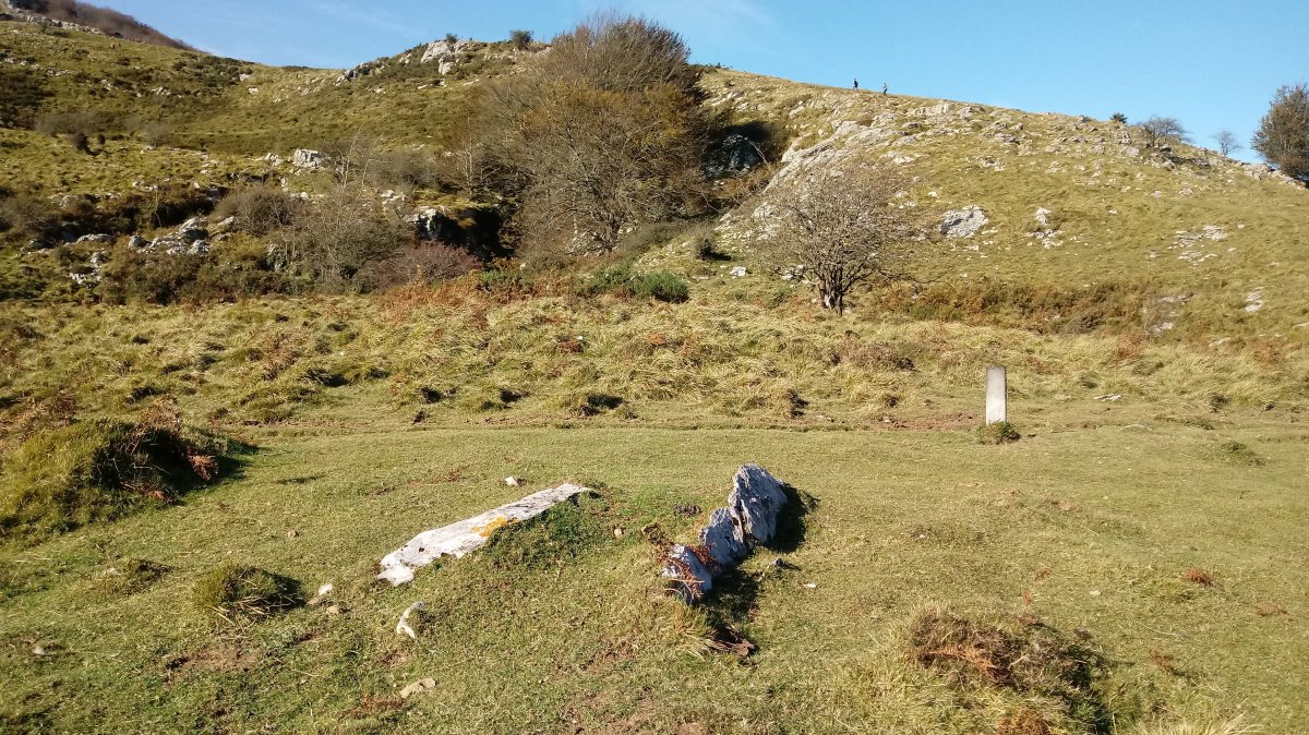 Zaingo Bizkarra trikuharria 4