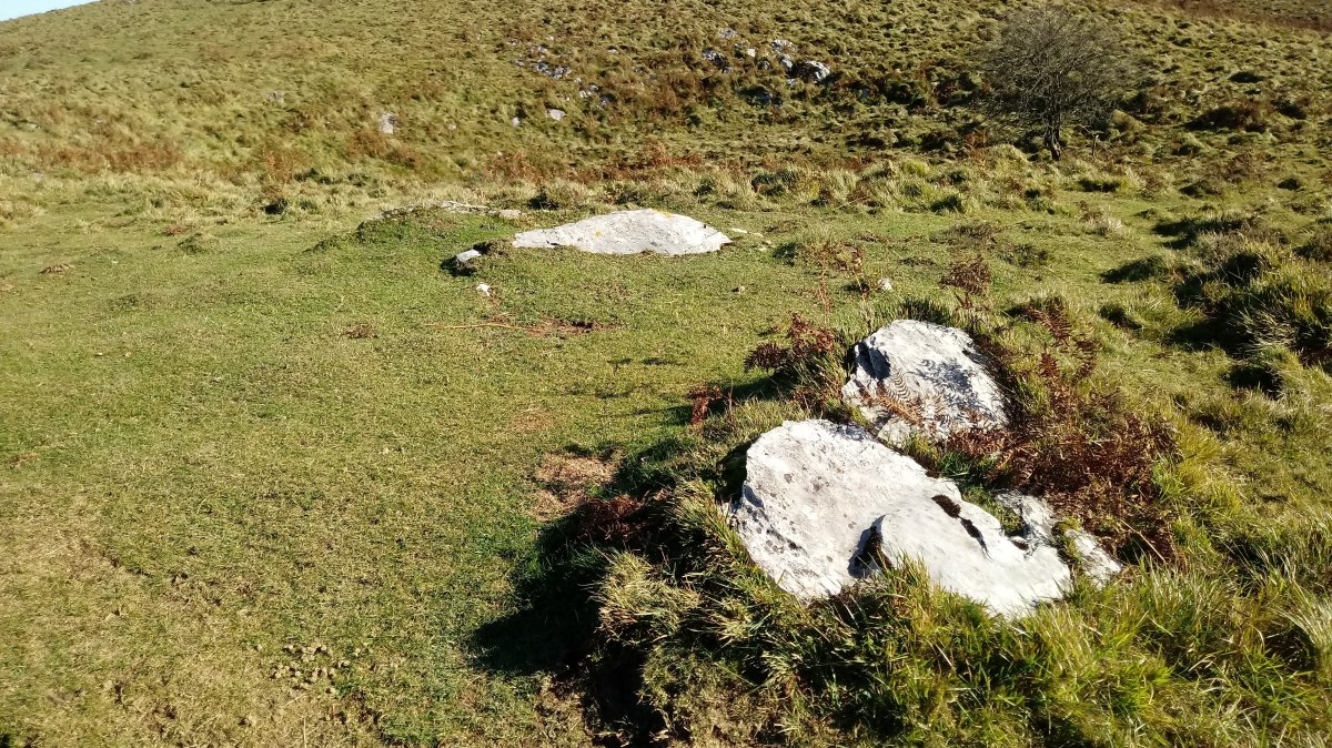 Zaingo Bizkarra trikuharria 3