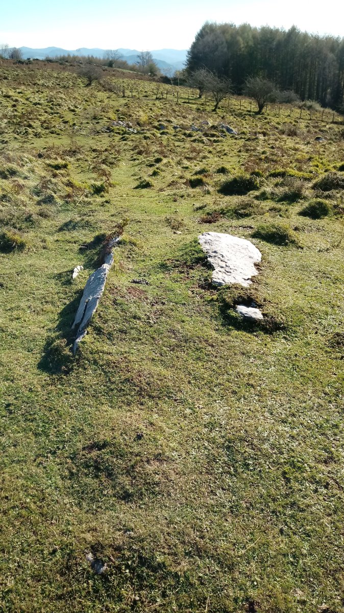 Zaingo Bizkarra trikuharria 2