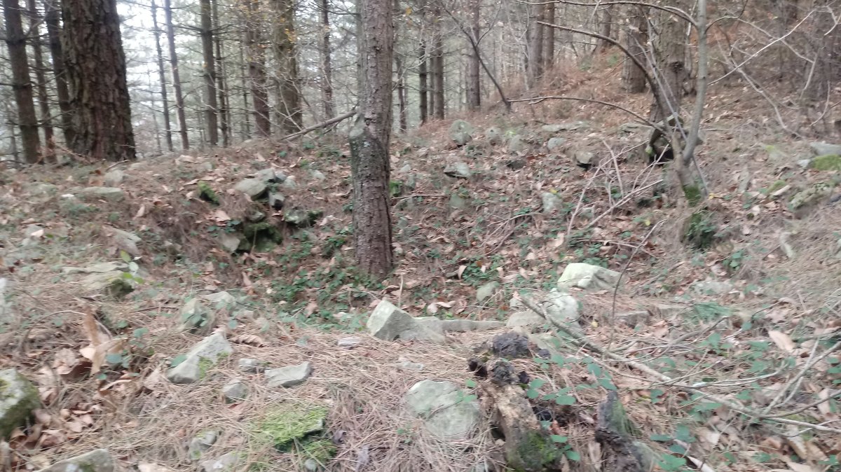 Lizarmendi tumuloa 2