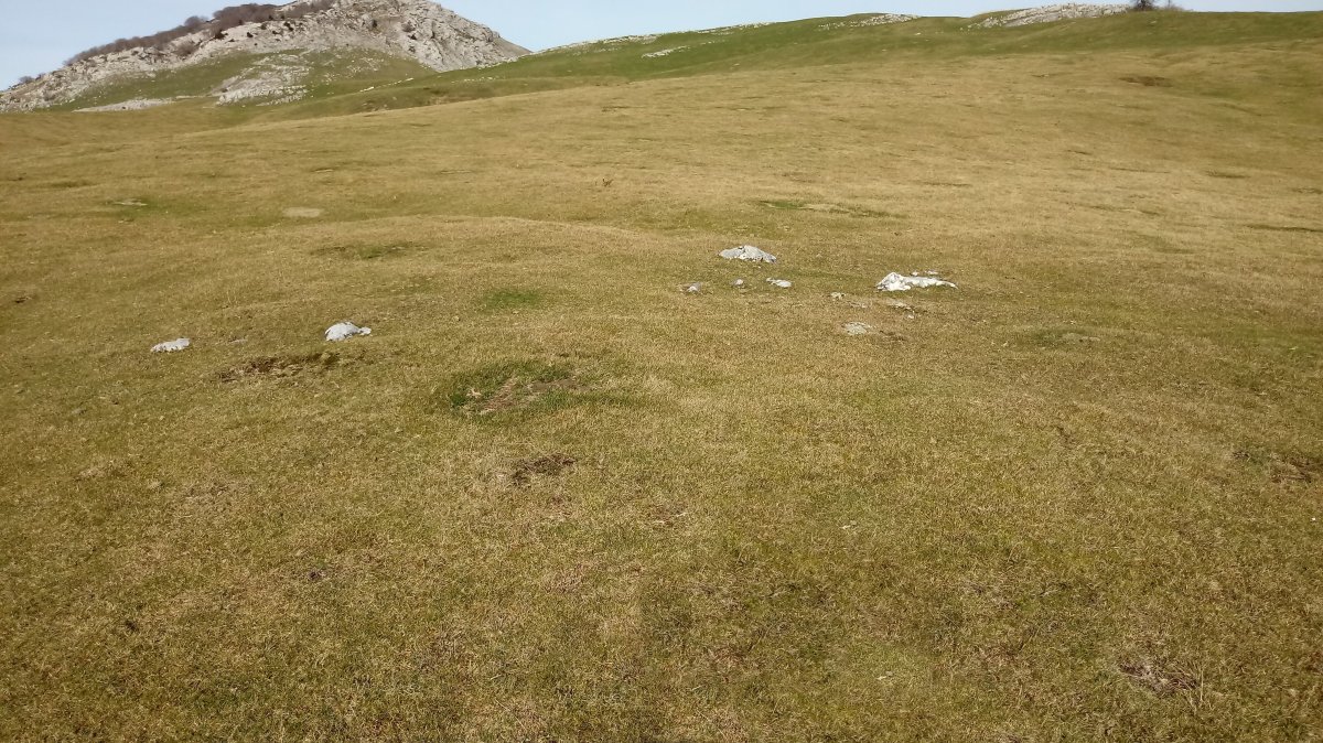 Olamuño Hegoa harrespila (2018)