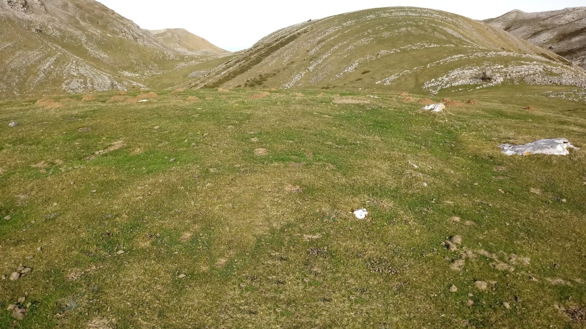 Olamuño Gaña harrespila (2018)