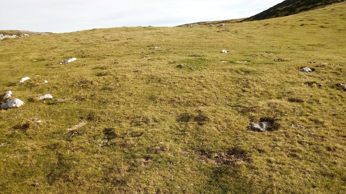 Pagoeta harrespila 2