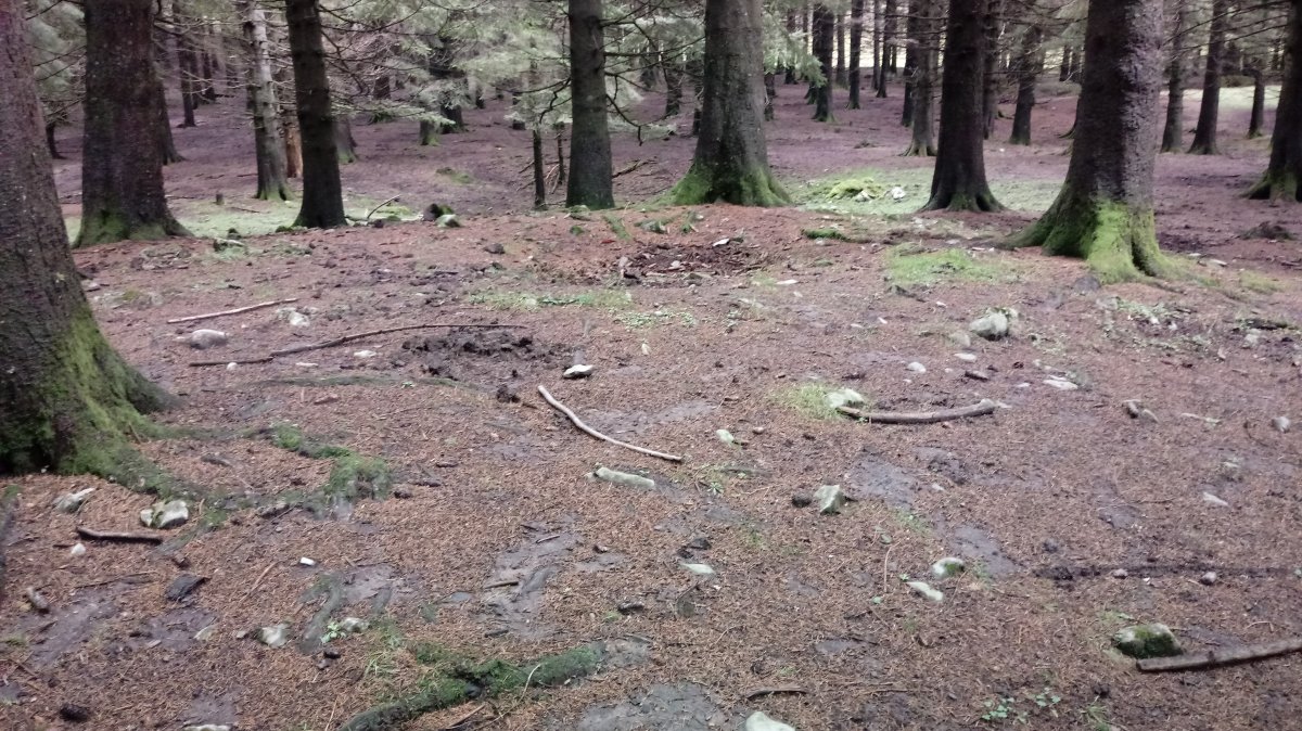 Mallako tumuloa (2018)