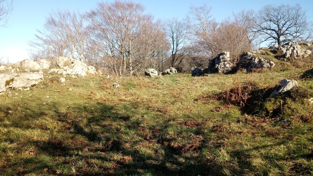 Arbe (731m) gaina