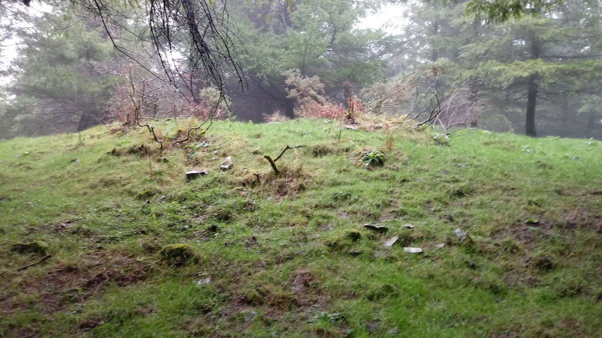 Aantzetako Gaña tumuloa 2