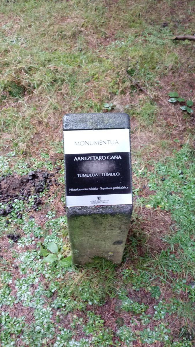 Aantzetako Gaña tumuloa (2019)