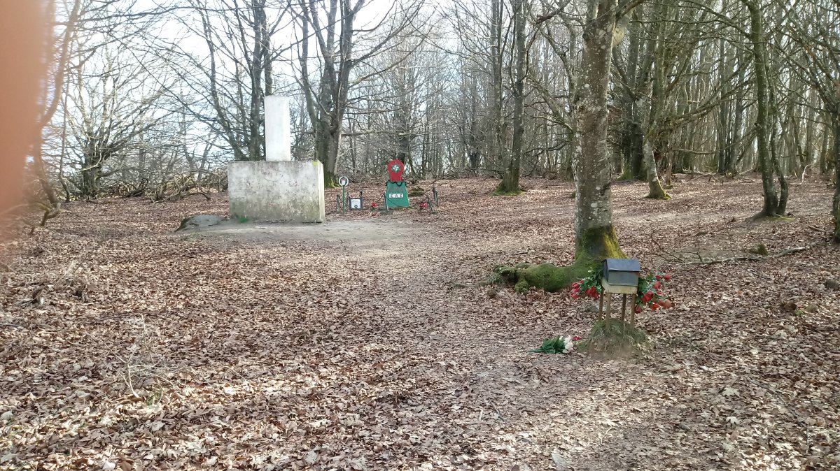 Albertia (867m) tontorra