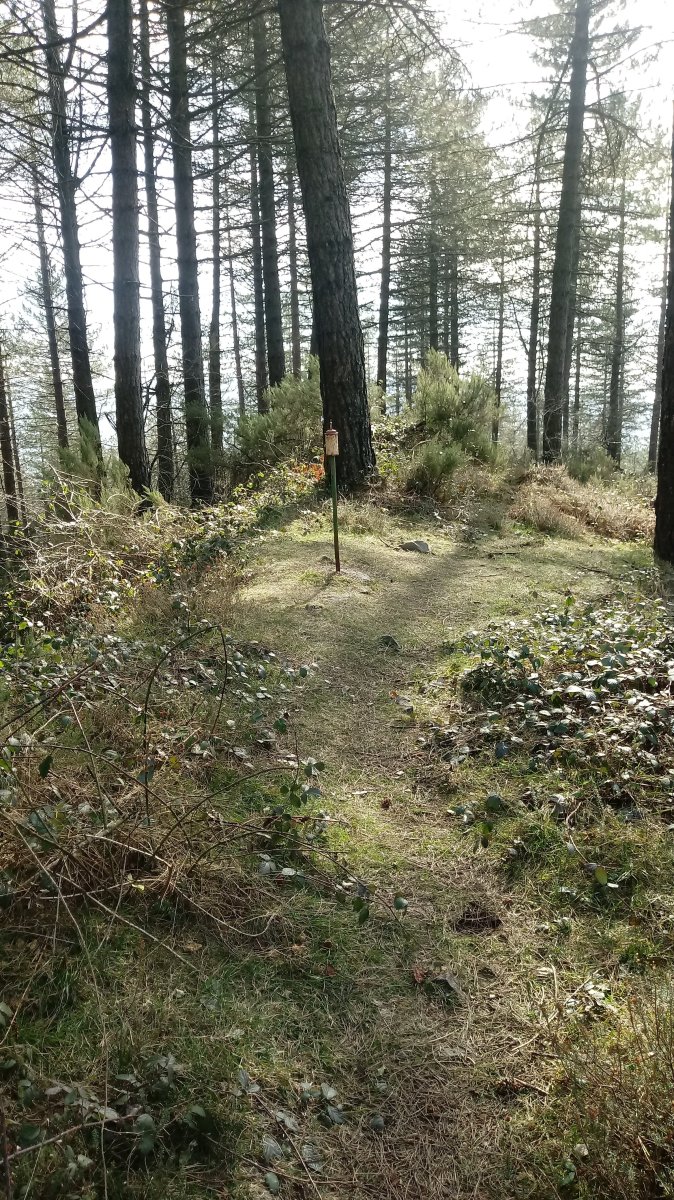 Maroto (864m) tontorra