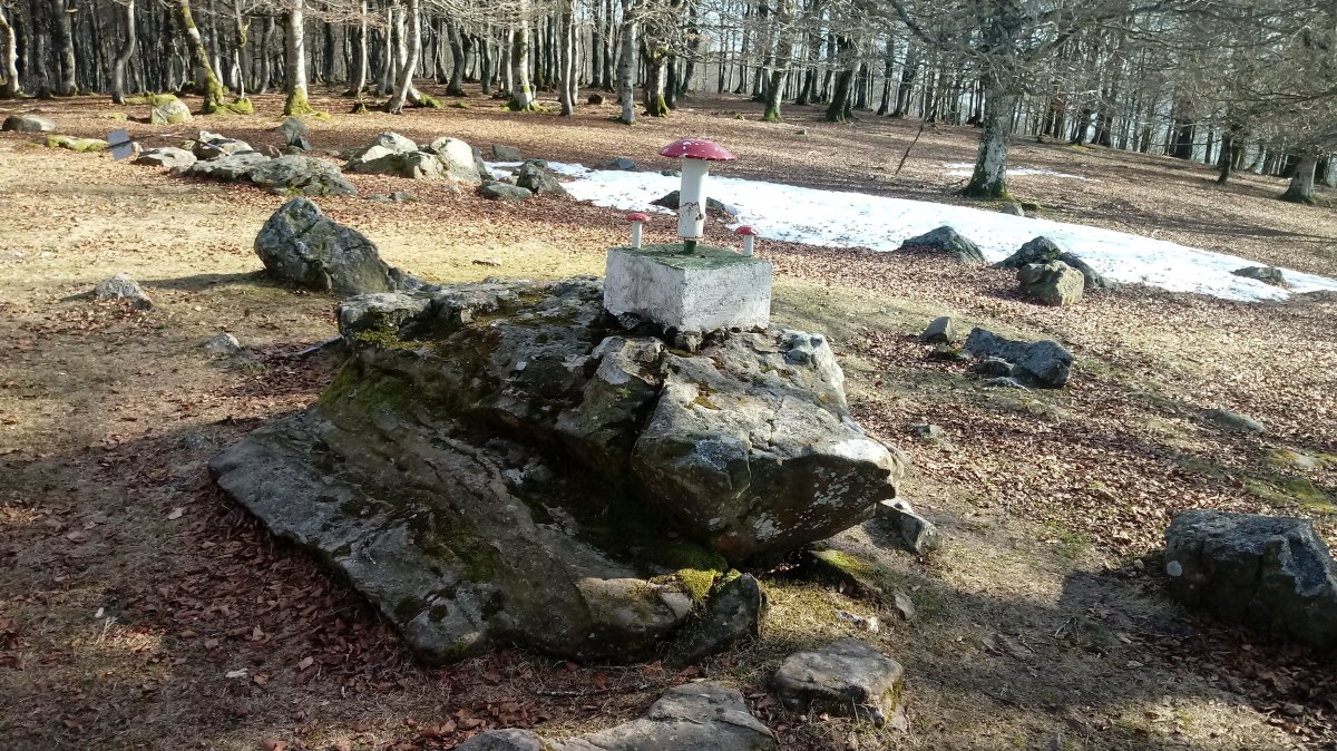 Petrinaitz/Artzanegi (1217m) tontorra