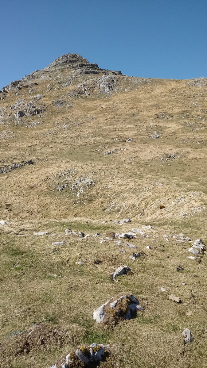 Abateko Lepoa tumuloa 2, atzean Ttutturre mendia