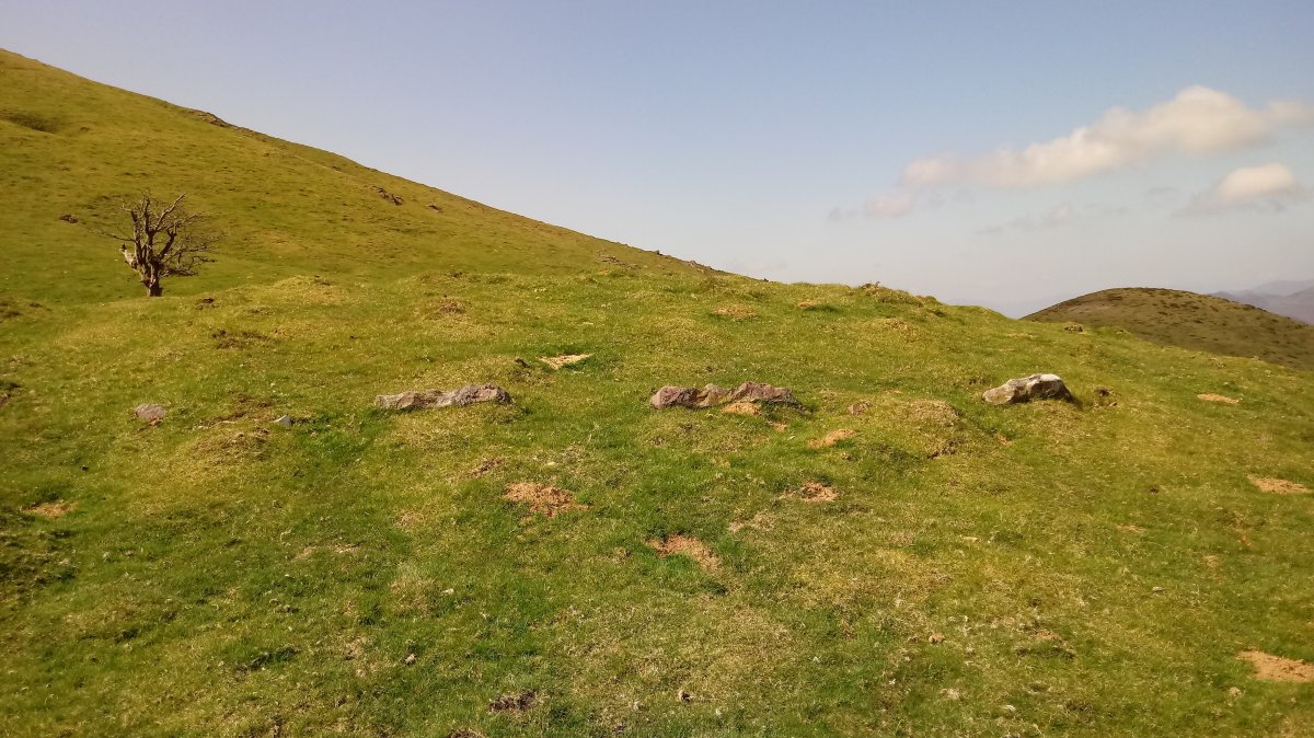 Pikuda Hego harrespila 2