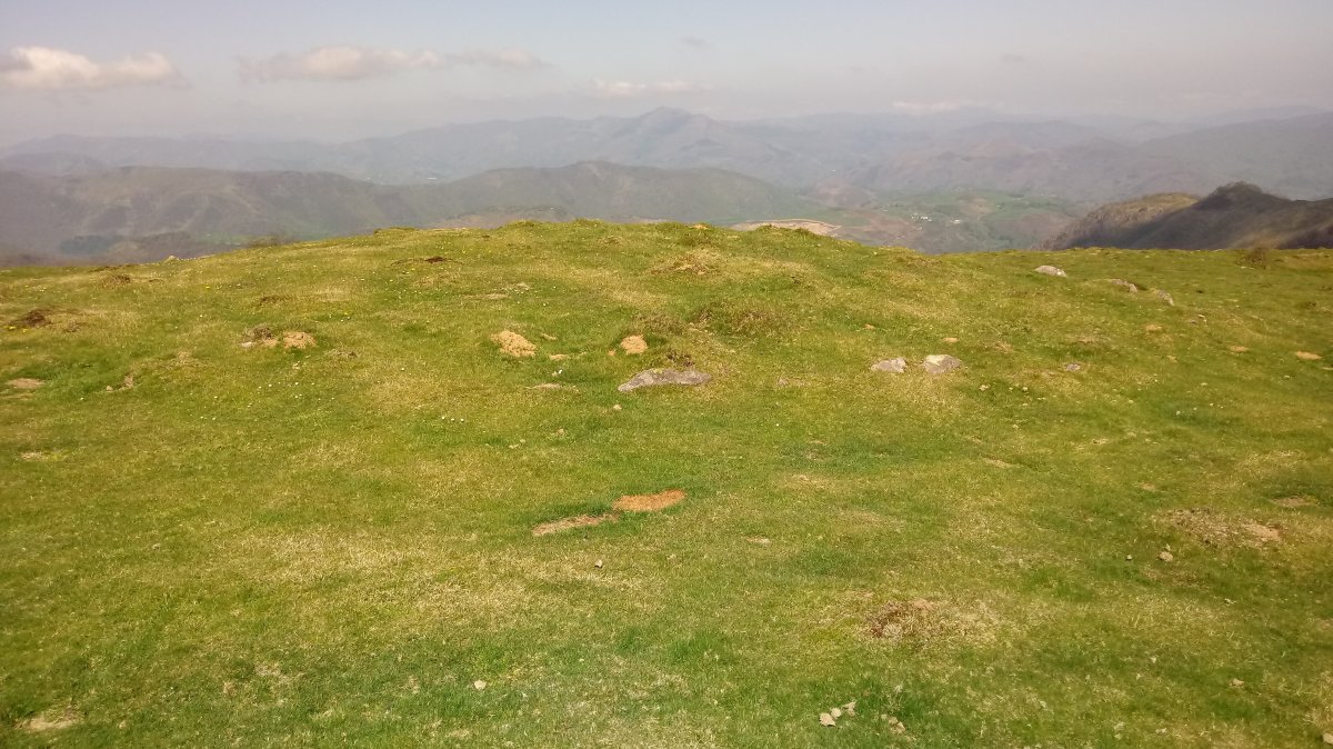 Pikuda Hego harrespila (2019)