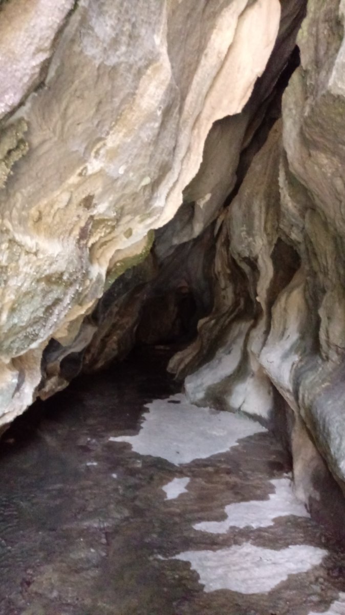 Hartzegi Leizea, ataria