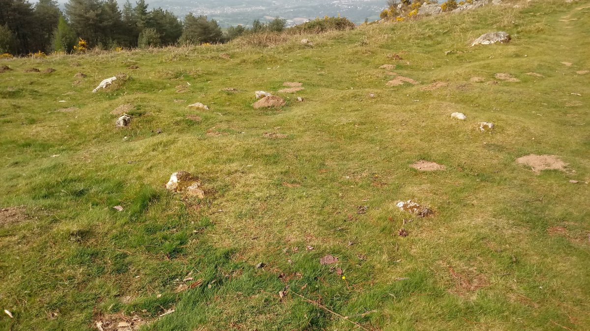 Mandale harrespilak 4