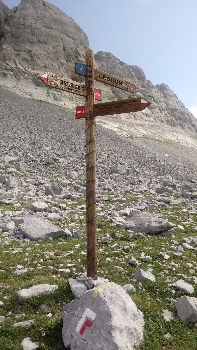 Anaie edo Lintzolako Lepoa