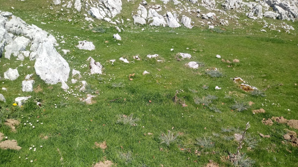 Zabalaitz Ekialde harrespila (2019)