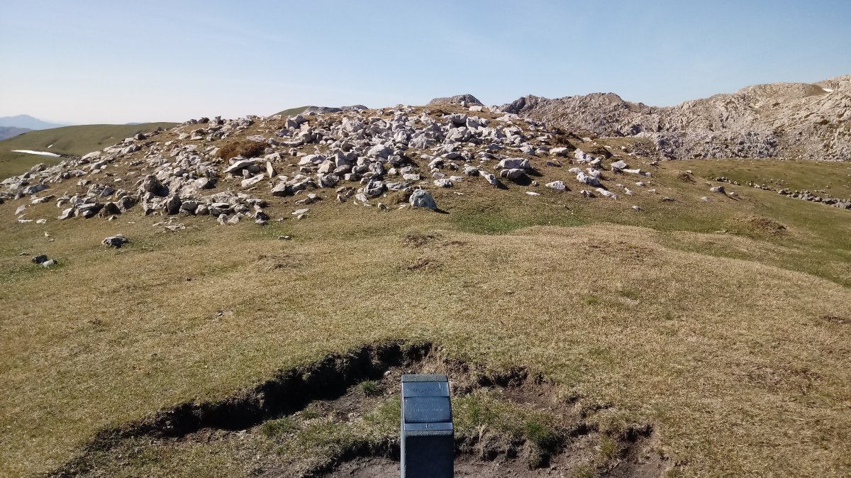 Aizkorritxo trikuharria 2