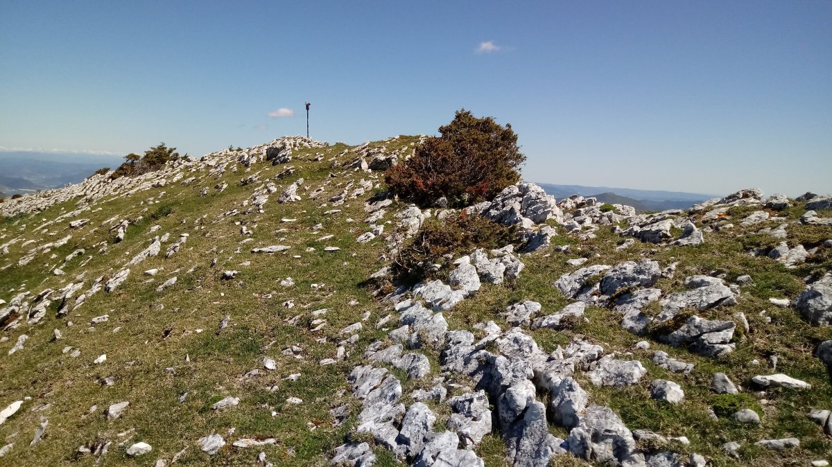 Lezizagoa (1350m) tontorra