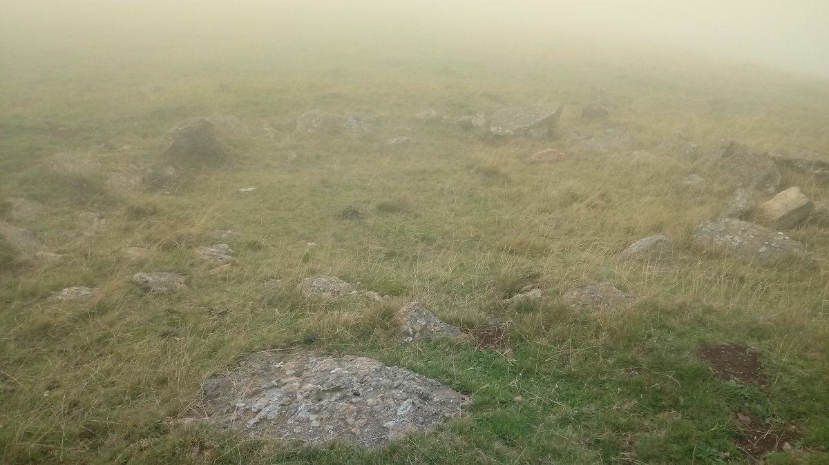 Errozateko harrespilak (2019)