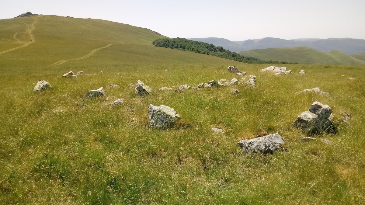 Ilharrita harrespilak 13