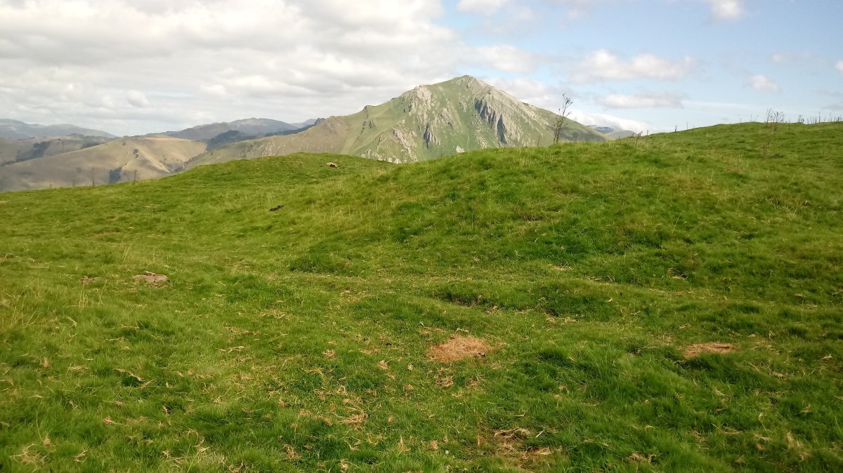 Iropile etxola-hondoak 6