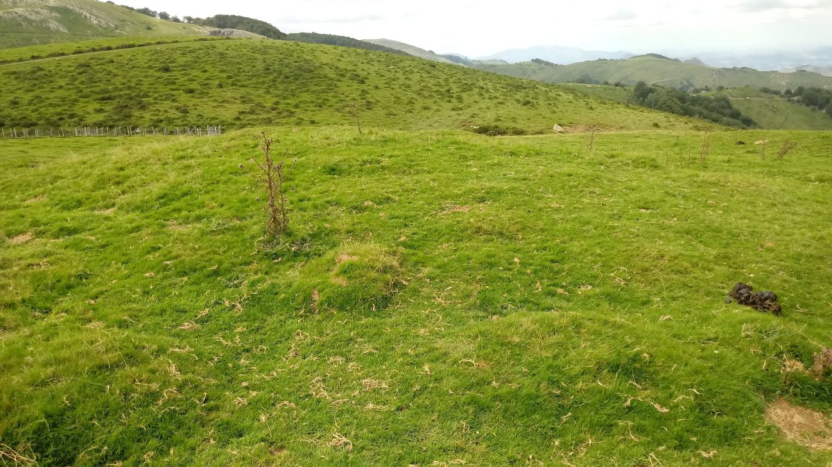 Iropile etxola-hondoak 2