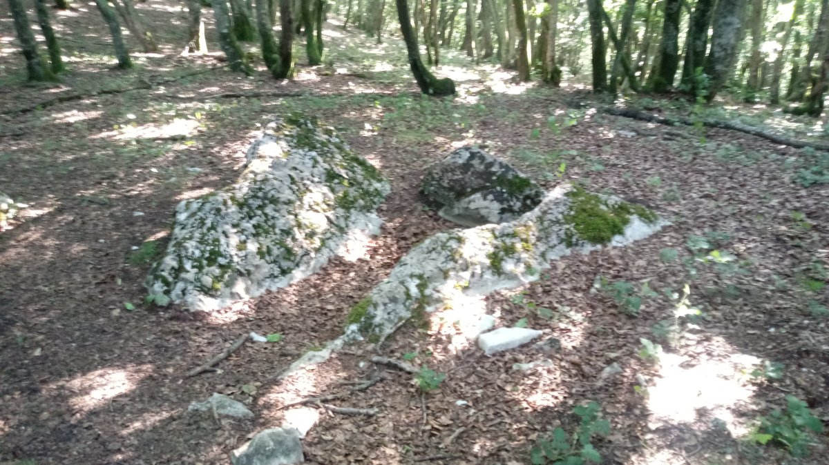 Angaitza trikuharria 2