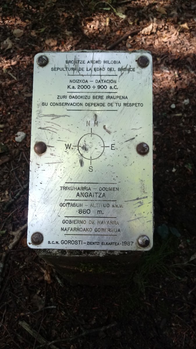 Angaitza trikuharria (2019)