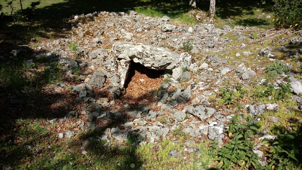 Erbilerri trikuharria 4