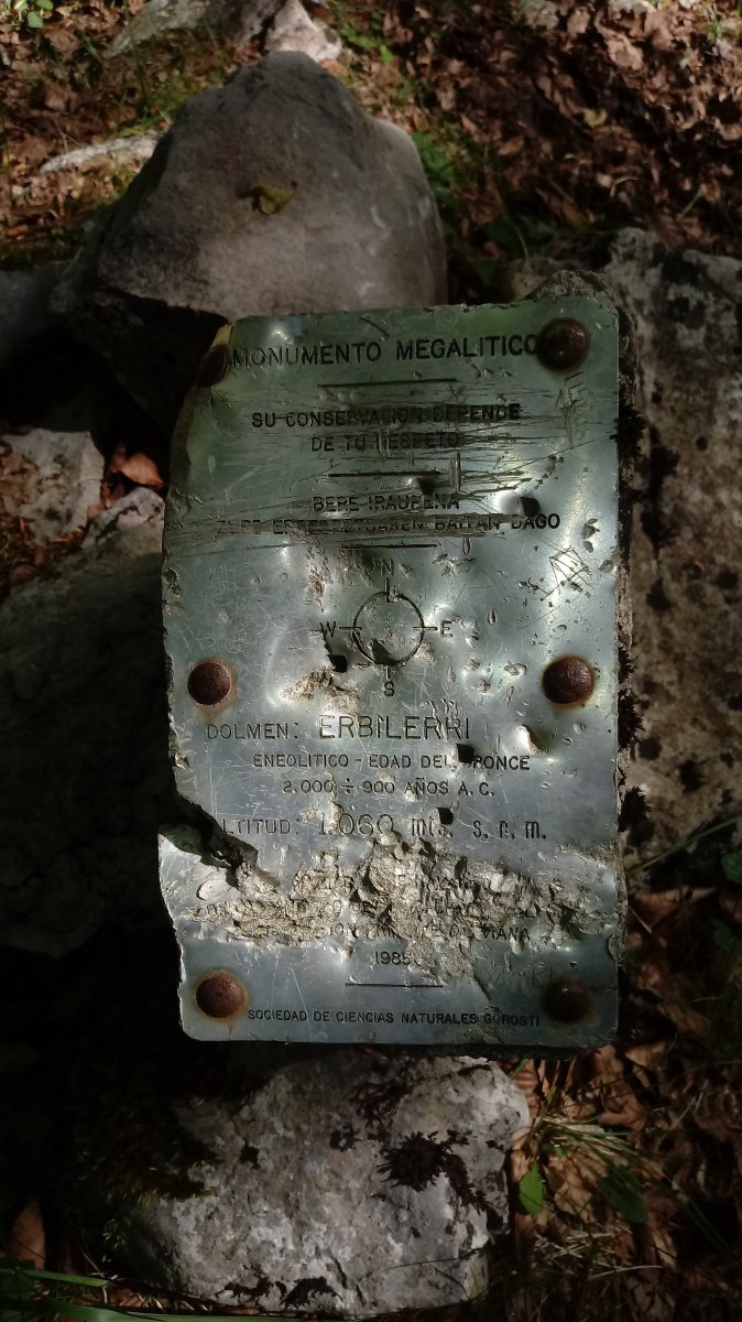 Erbilerri trikuharria (2019)