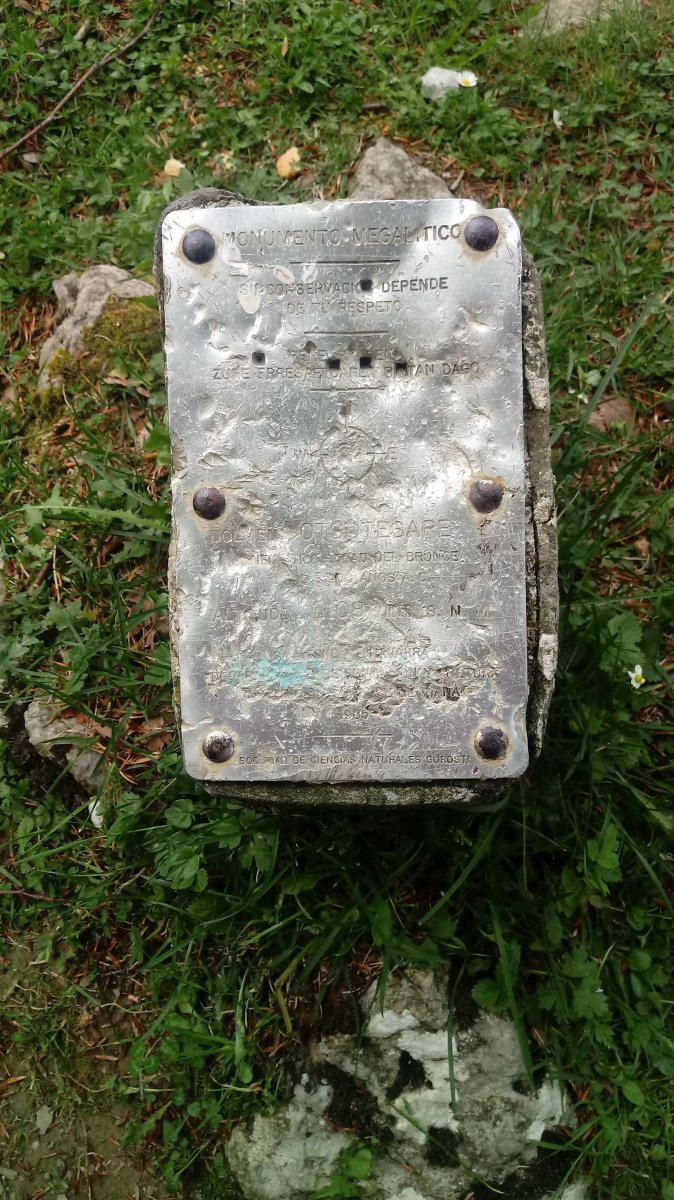 Otsotesare trikuharria (2019)