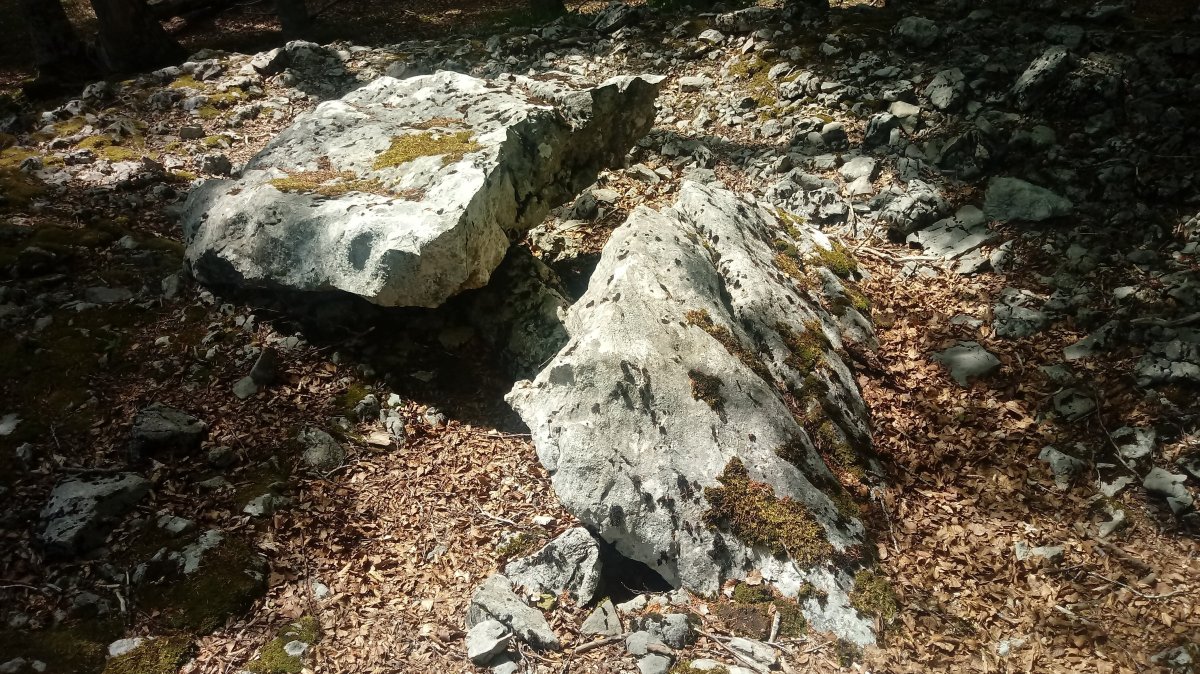 Soiltxiki trikuharria 2