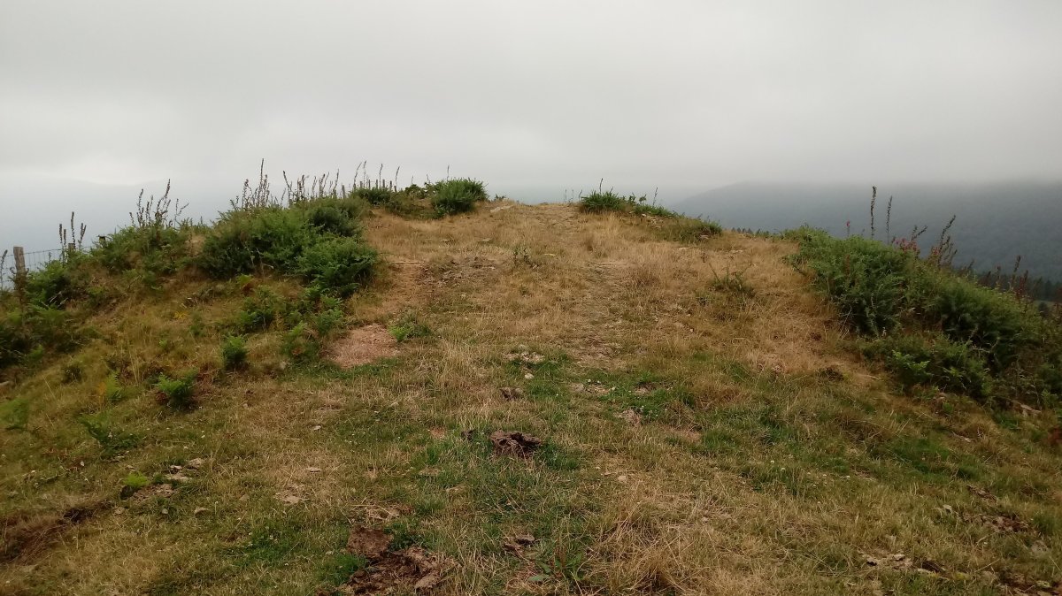 Urrezulko Armurea trikuharria 3