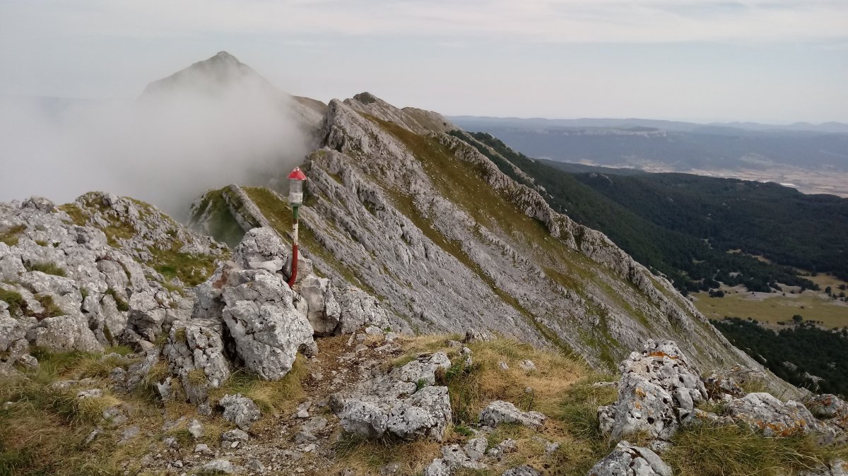 Arbelaitz (1506m) tontorra