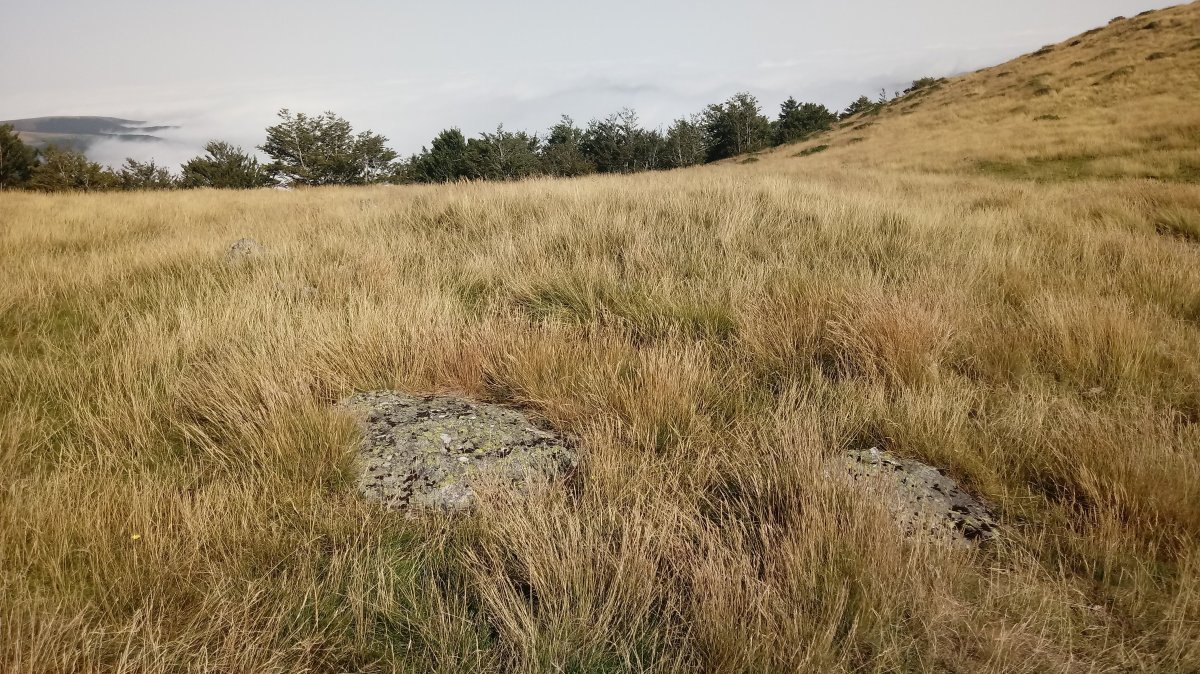 Xardeka harrespila I (2019)