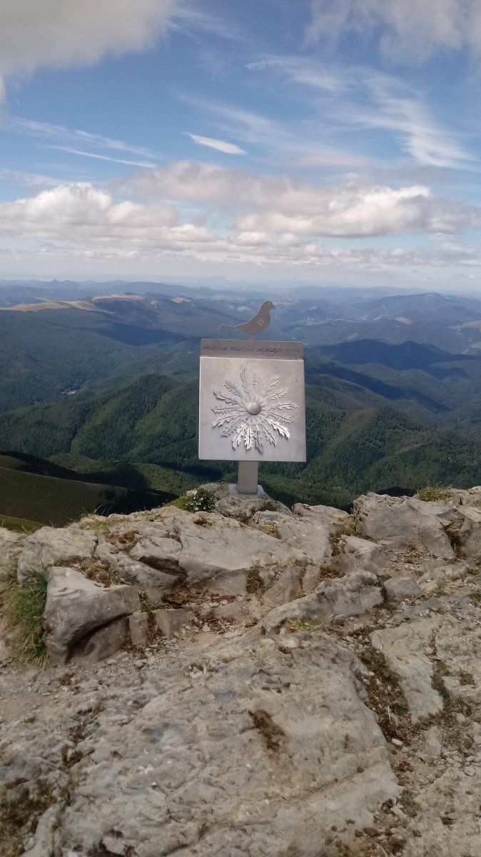 Orhi (2017m) postontzia