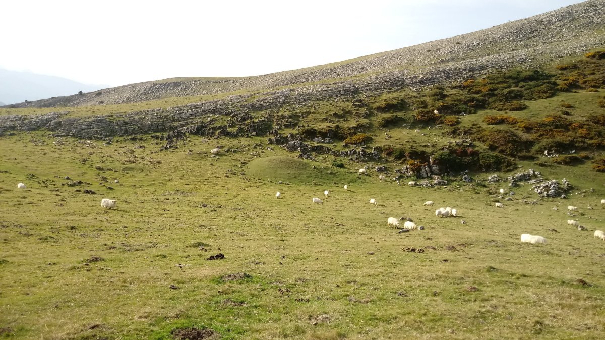 Pontoa I (Urrusti) etxola-hondoa (2019)