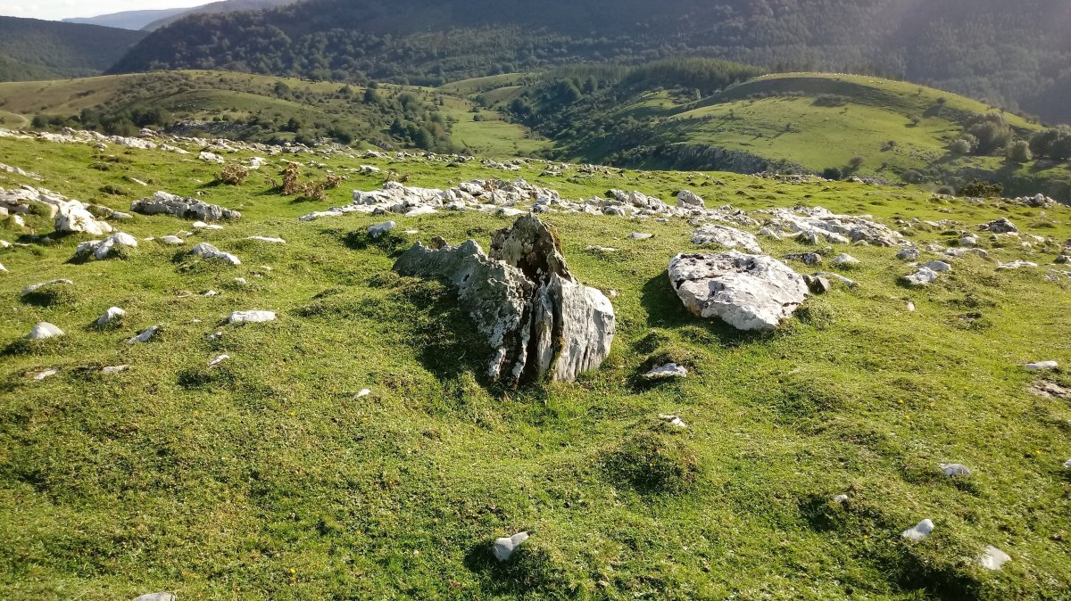 Aranzadi trikuharria 4