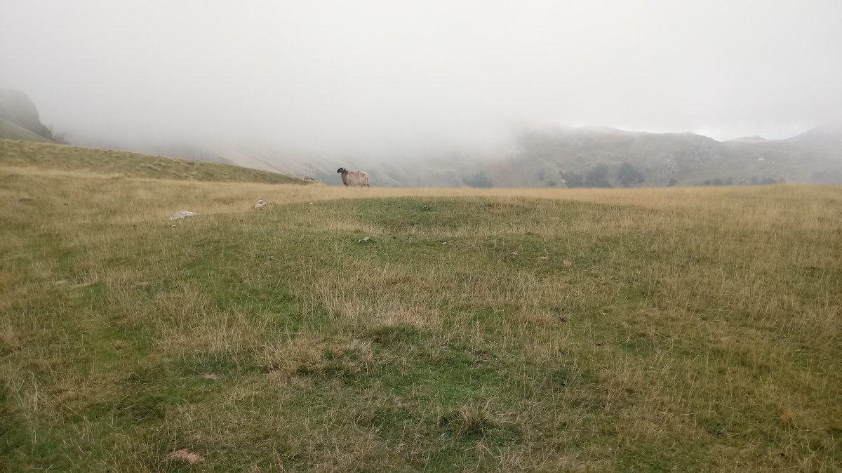 Millagaateko harrespila II 3