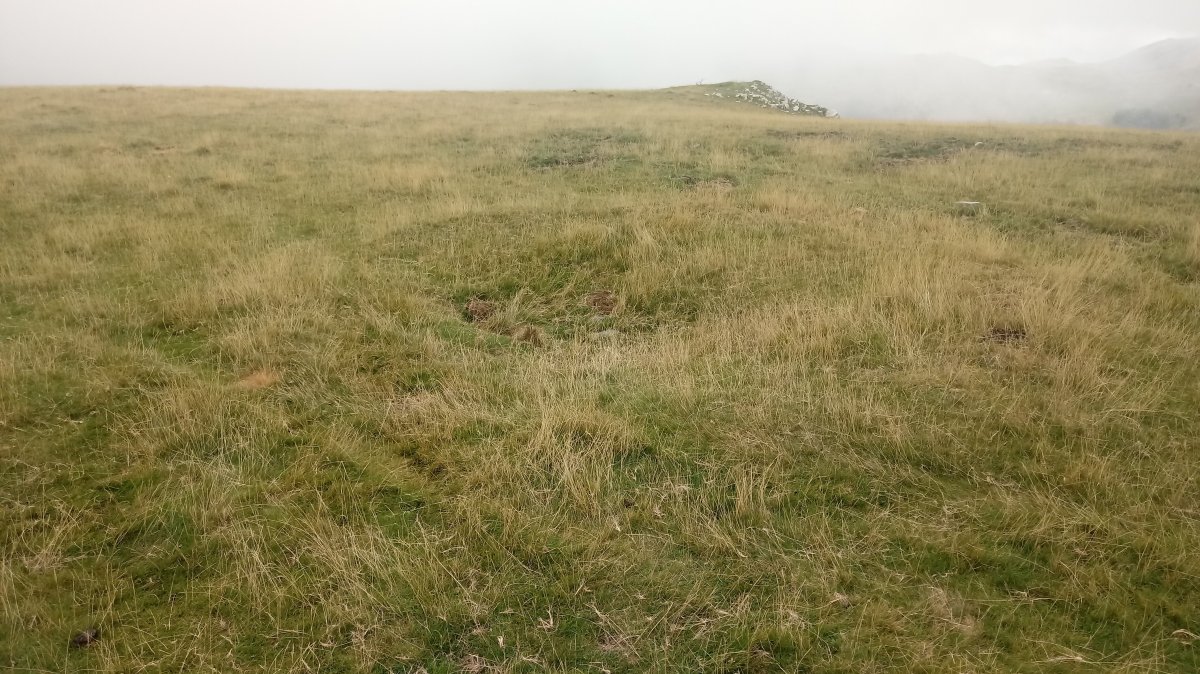 Millagaateko tumuloa 2