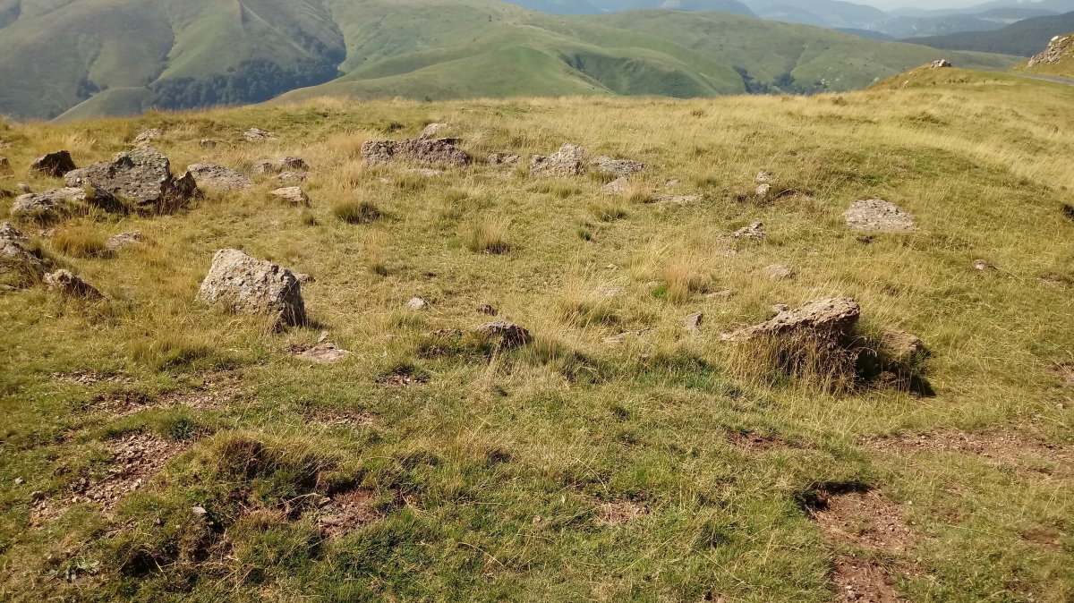 Errozateko harrespila (2019)