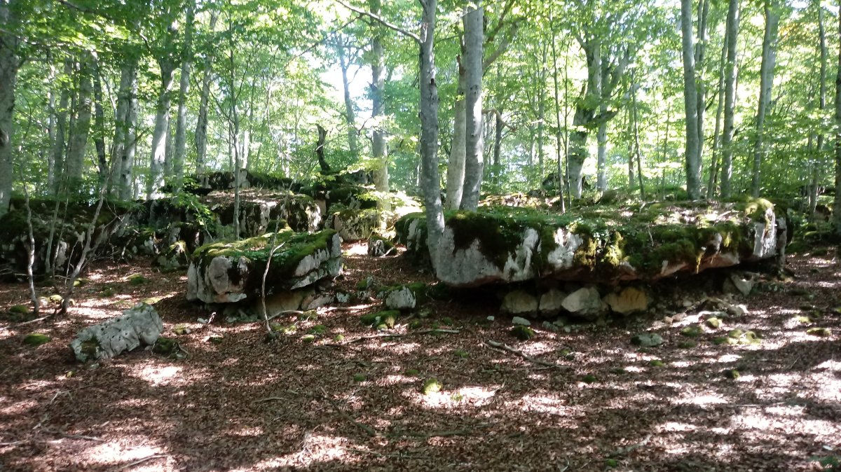 Lazkueta (1123m) tontorraldea