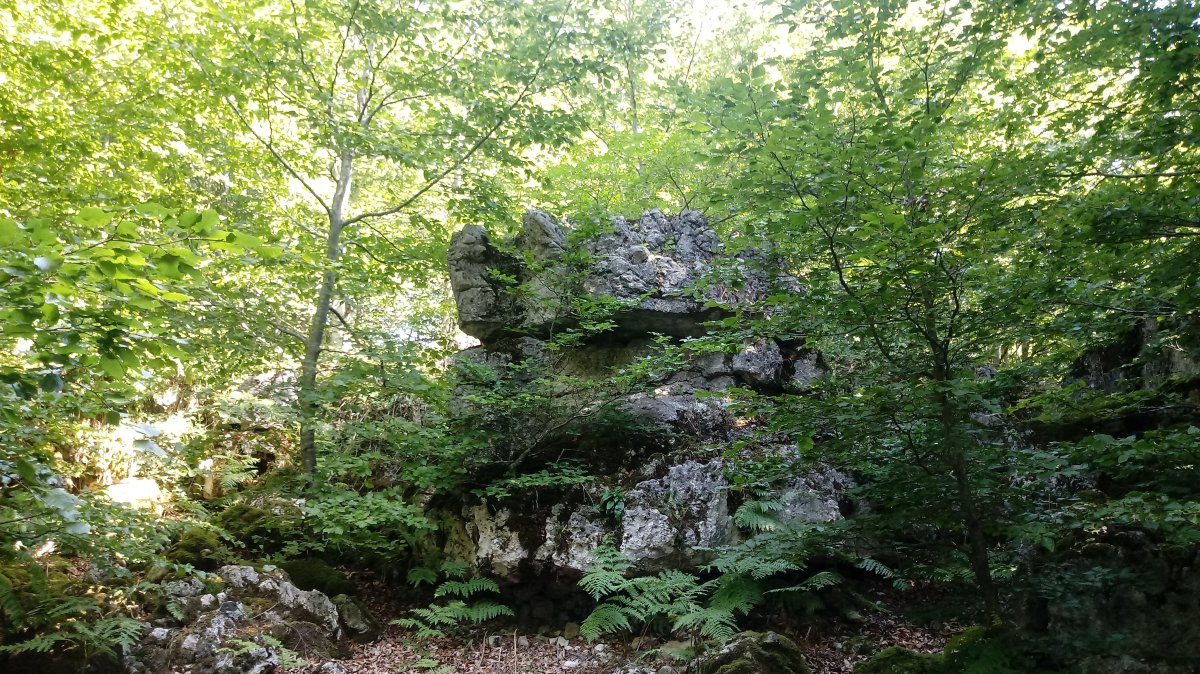Lazkueta (1123m) tontorraldea
