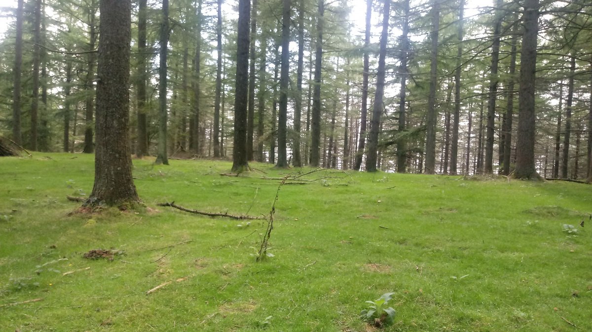 Azalditza (789m) gaina