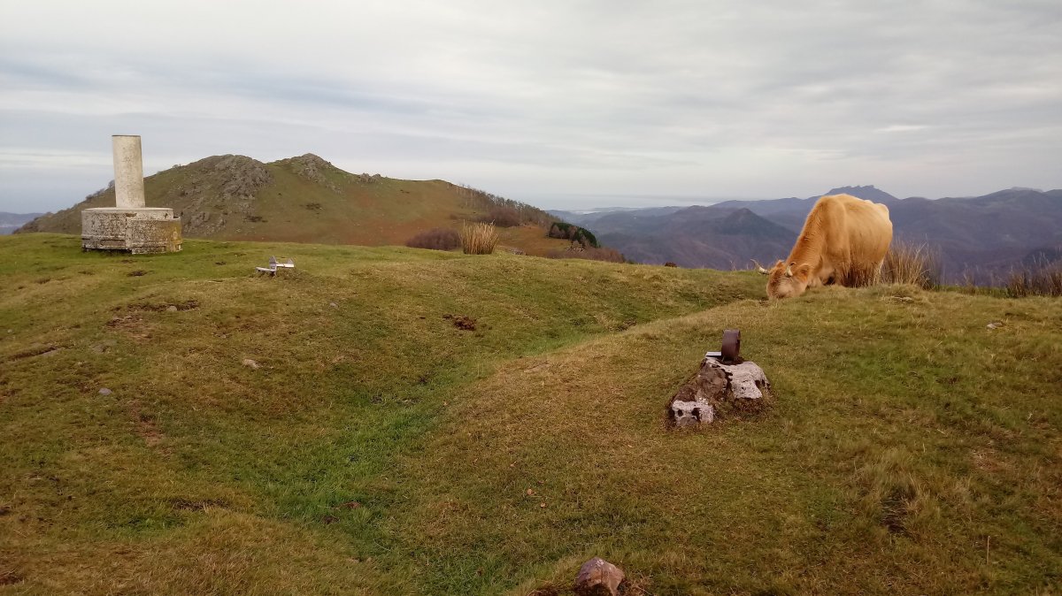 Oindo (785m) tontorra, atzean Adarra mendia