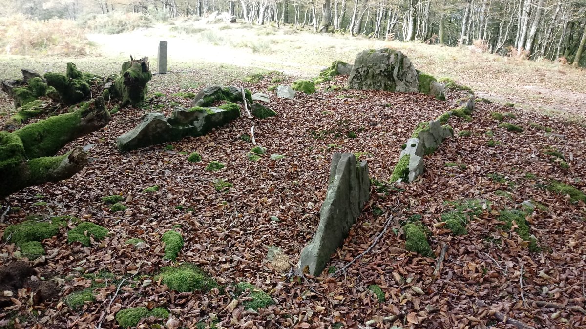 Arramiako Lepoa trikuharria