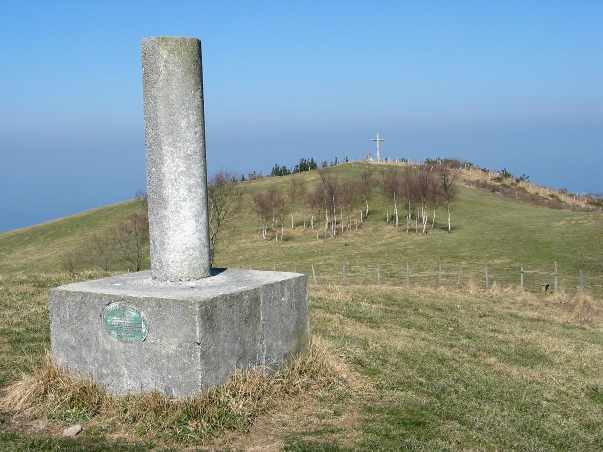 Erpin geodesikoa eta tontorra