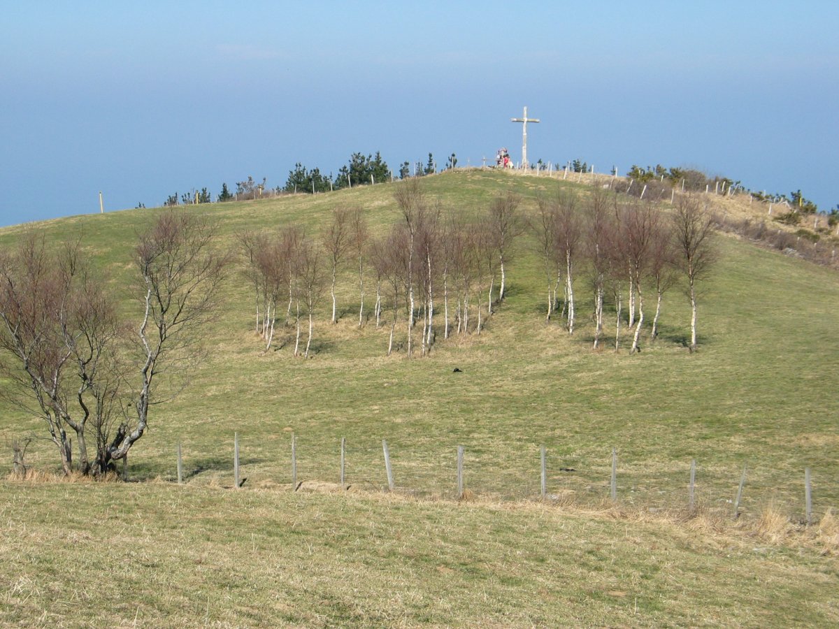 Tontorraren inguruak